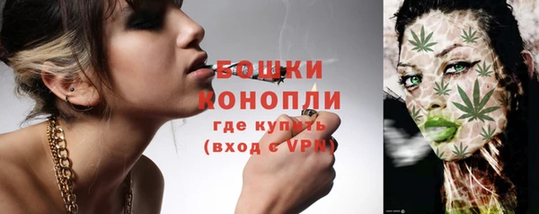 ГАЛЛЮЦИНОГЕННЫЕ ГРИБЫ Валуйки