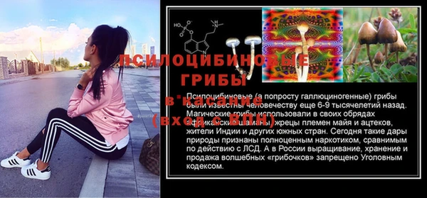 ешки Абаза