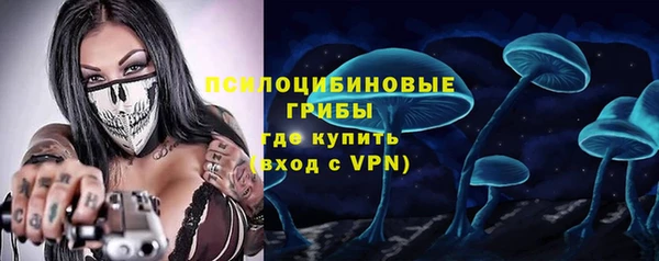 крисы Губаха