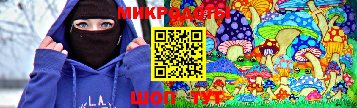 что такое   Псилоцибиновые грибы Psilocybe  Вход с VPN  Галлюциногенные грибы GOLDEN TEACHER  Звенигород 